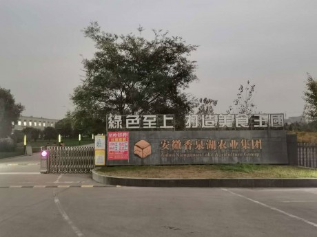 和縣經(jīng)濟開發(fā)區(qū)巢寧路東側(cè)99號資產(chǎn)一批