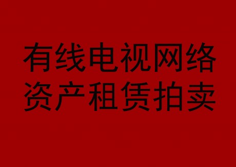 博望區(qū)有線電視網(wǎng)絡(luò)資產(chǎn)租賃拍賣公告